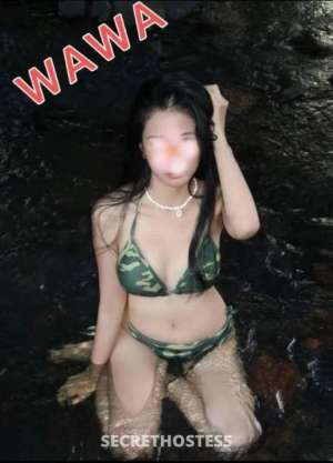 22 year old Asian Escort in Potts Point Sydney UNDER NEW MANAGEMENT IN POTTS POINT! LATINAS! ASIANS! AND 