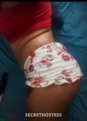 23 year old Escort in Kingston Pleasure Bunny, escort