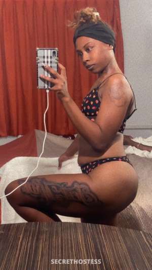 23Yrs Old Escort Houma LA Image - 2