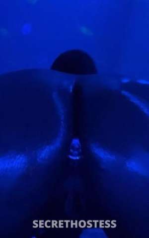24 year old Escort in Chambana IL Rush mee