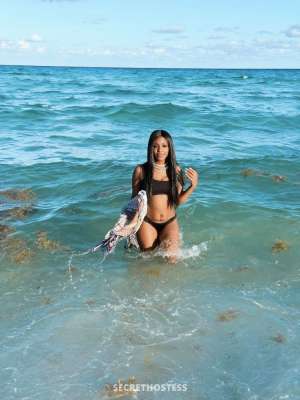 CANDII 25Yrs Old Escort Miami FL Image - 0