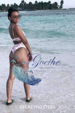 25 year old Escort in Frankfurt Lalo, escort