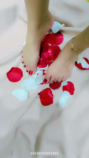 ꧁༻❤ مرام شرسة ❤ ༺꧂࿐, escort 23 year old Escort in Ajman