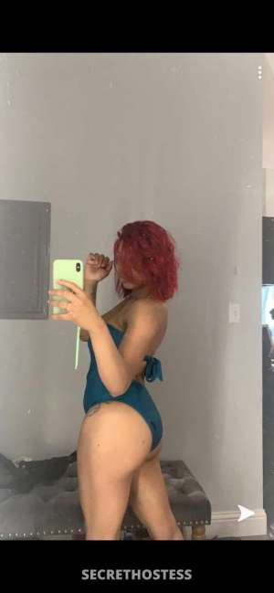 24 year old Escort in Philadelphia PA yellowBONE