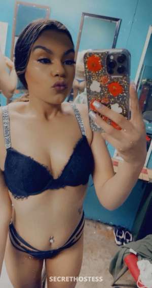 Mariah 24Yrs Old Escort Knoxville TN Image - 3