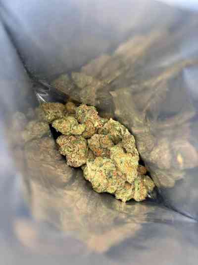 24Yrs Old Escort Melbourne Image - 10