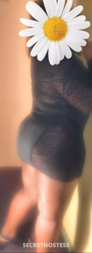 32Yrs Old Escort 162CM Tall San Jose CA Image - 4
