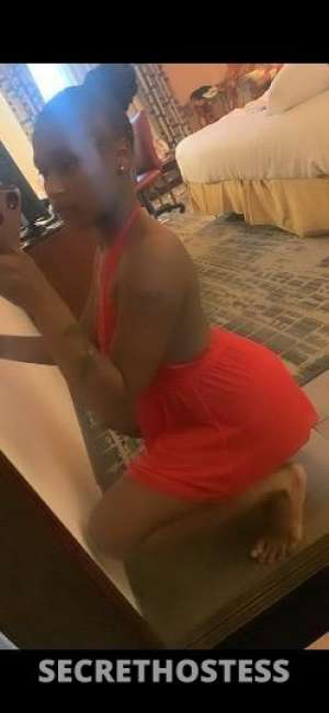 24 year old Escort in Detroit MI Outcalls with a baddie 🔥 yes i do freaky ft show or 