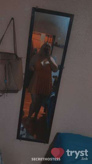 0 year old Escort in Rockville MD Storm - Soft to the touch