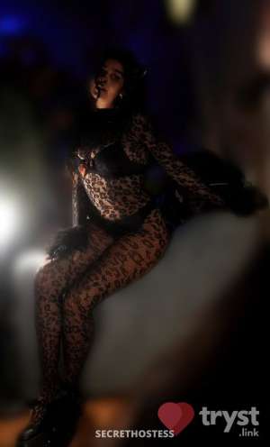 Nadia Nahid - Your Persian Princess 0 year old Escort in San Diego CA