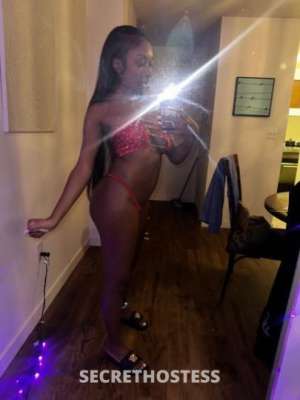 23 year old Escort in Luxury Dream Girl —the sweetest escape with an ebony 