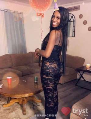 0 year old Escort in Salisbury MD Chocolate Ice - Ready to Play
