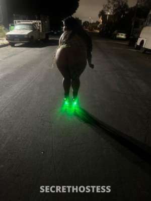 Kayla 21Yrs Old Escort Image - 1