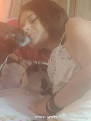 Lexi 42Yrs Old Escort Tampa FL Image - 3