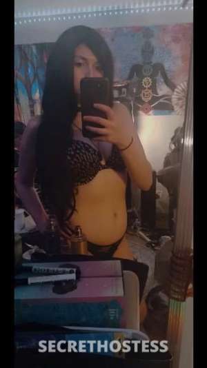 Luna 27Yrs Old Escort Phoenix AZ Image - 8