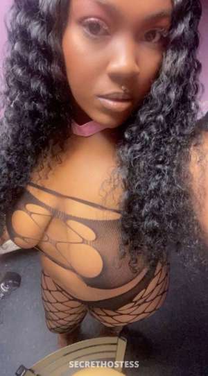 Misty 25Yrs Old Escort Eugene OR Image - 2