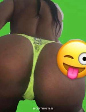 27 year old Escort in Queens NY 😽💕💕Happy New Years from Kitty