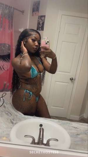 Bunny 24Yrs Old Escort Jackson MS Image - 1