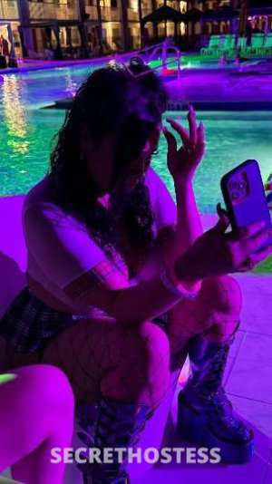 Reina 33Yrs Old Escort 167CM Tall Panama City FL Image - 4