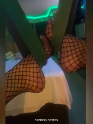 Reina 33Yrs Old Escort 167CM Tall Panama City FL Image - 6
