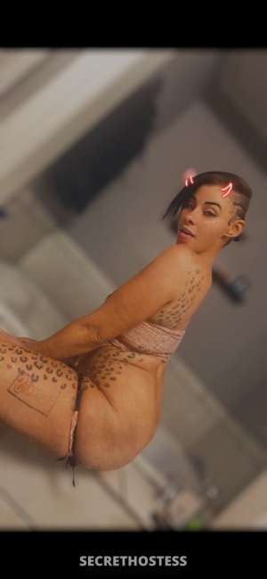 23Yrs Old Escort Biloxi MS Image - 1