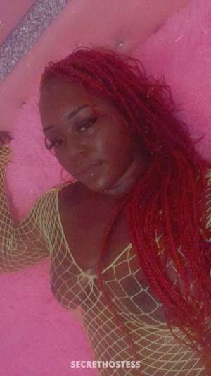 Hazel 25Yrs Old Escort Toledo OH Image - 1