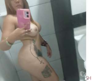 26 year old White Escort in Acu Rio Grande do Norte 26Yrs Old White Escort Rio Grande do Norte