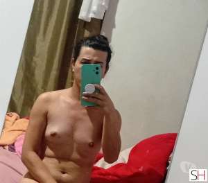 28 year old White Escort in Rio Negrinho Santa Catarina 28Yrs Old White Escort Santa Catarina