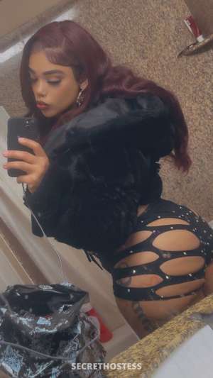 27 year old Escort in light skinned thick big booty good head and pussy