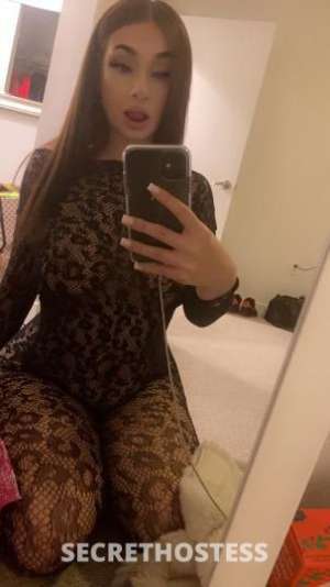 19 year old French Escort in San Diego CA Sexy redhead Brunette
