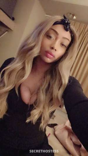 27 year old French Escort in Glens Falls NY w 🏽. PARIS HILTON