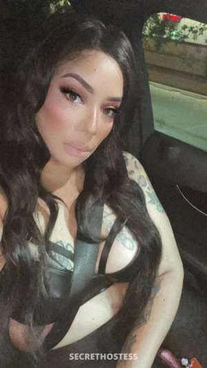 23Yrs Old Escort McAllen TX Image - 2