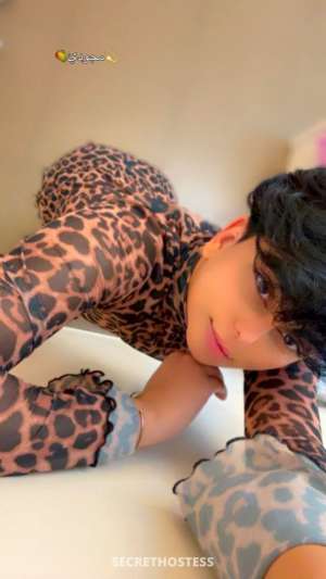 25 year old Egyptian Escort in Al Sohar Magody مجودى, Male escort