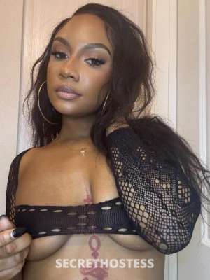 24 year old Escort in Reno NV NEW IN TOWN! Your favorite tease🍭 OUTCALLS &amp; 