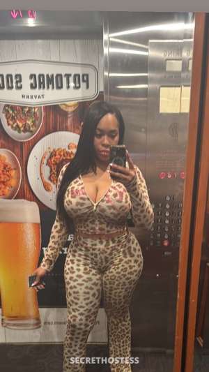 Ariel 24Yrs Old Escort Baltimore MD Image - 8