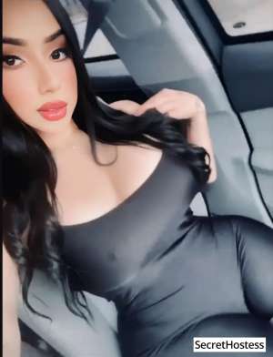 24 year old Escort in San Jose CA Escort model Melissa Klarck, San Jose