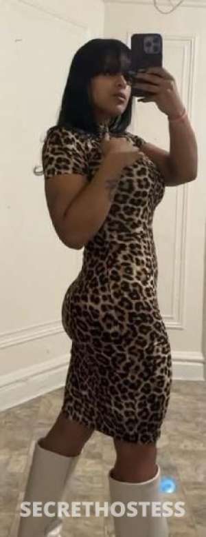 22Yrs Old Escort Western Slope CO Image - 0