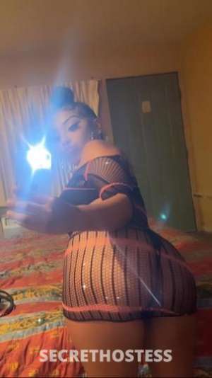 24Yrs Old Escort 157CM Tall Flagstaff AZ Image - 2