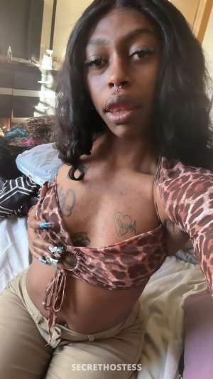 Dutchess 22Yrs Old Escort Killeen TX Image - 4