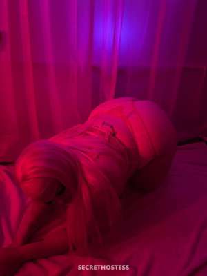 Lola 21Yrs Old Escort Tampa FL Image - 2