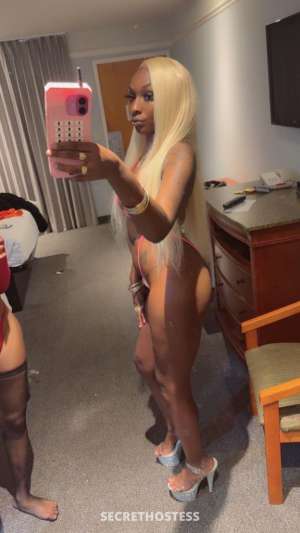 Chanel 21Yrs Old Escort Santa Cruz CA Image - 2