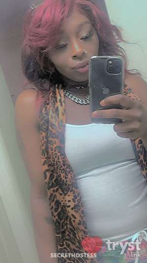 Bunnie - Chocolate Bunnie 0 year old Escort in Augusta GA