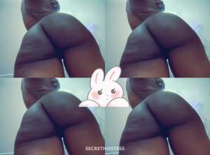 Bunny 27Yrs Old Escort Atlanta GA Image - 2