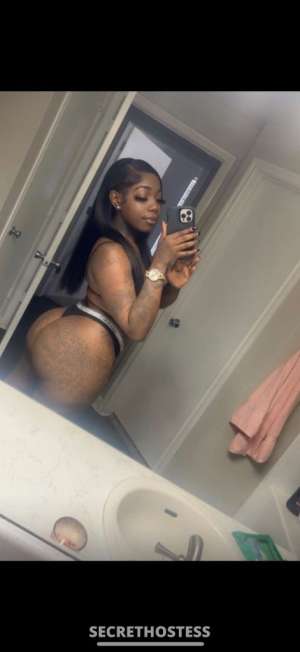 Cece 24Yrs Old Escort Houston TX Image - 9