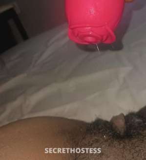 Teraah 27Yrs Old Escort Hartford CT Image - 1