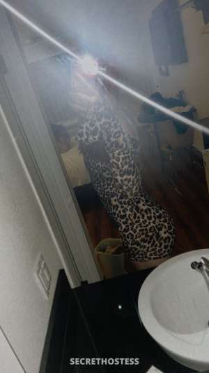 23Yrs Old Escort Cincinnati OH Image - 4