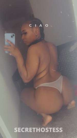 23Yrs Old Escort Houston TX Image - 4
