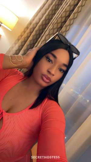 Ashley, escort 23 year old Escort in Abidjan