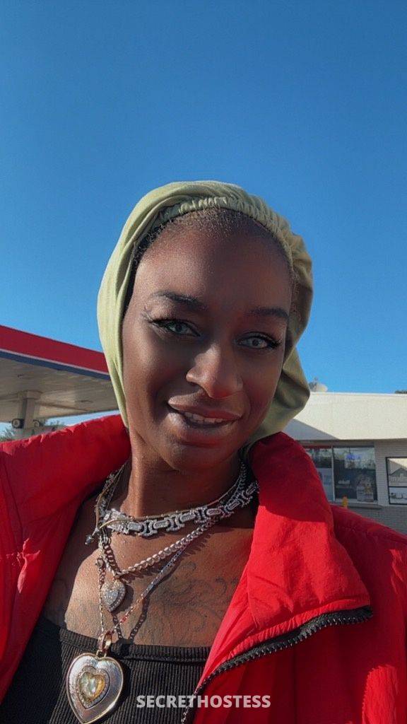 ForeignKayy 33Yrs Old Escort Tampa FL Image - 0