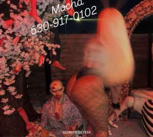 28 year old Escort in Redding CA Mocha sinful sensual playmate